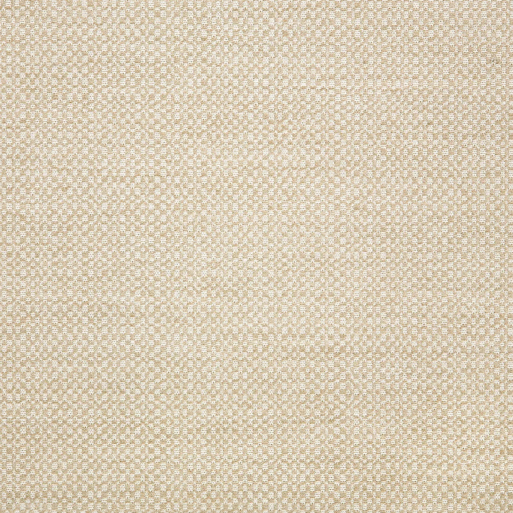 Action Upholstery Woven by Sunbrella - Linen
