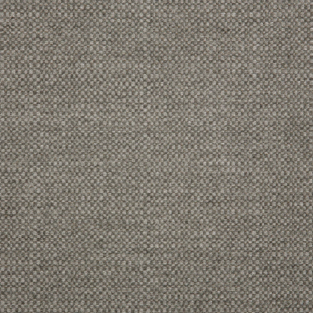 Action Upholstery Woven by Sunbrella - Stone